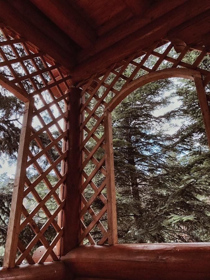 Дома для отпуска Forest House Мигово