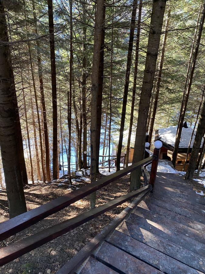 Дома для отпуска Forest House Мигово
