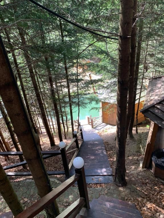 Дома для отпуска Forest House Мигово