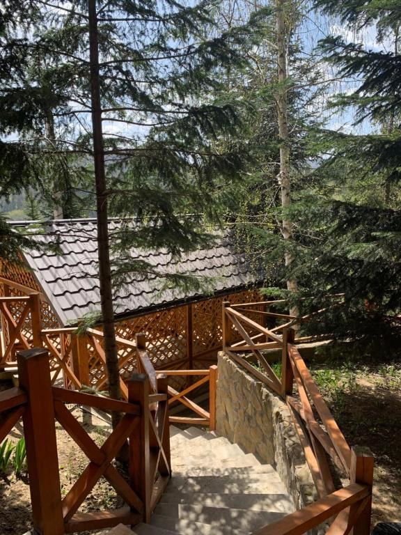 Дома для отпуска Forest House Мигово