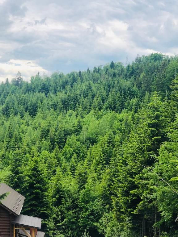 Дома для отпуска Forest House Мигово