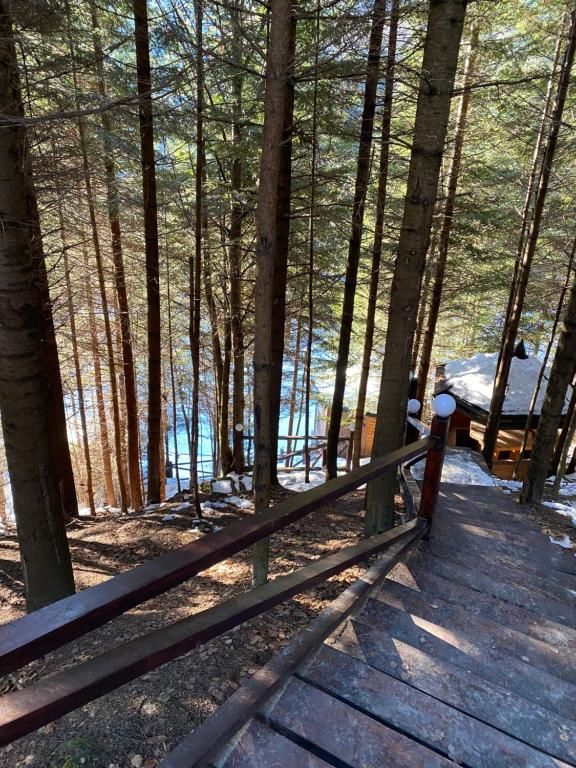 Дома для отпуска Forest House Мигово